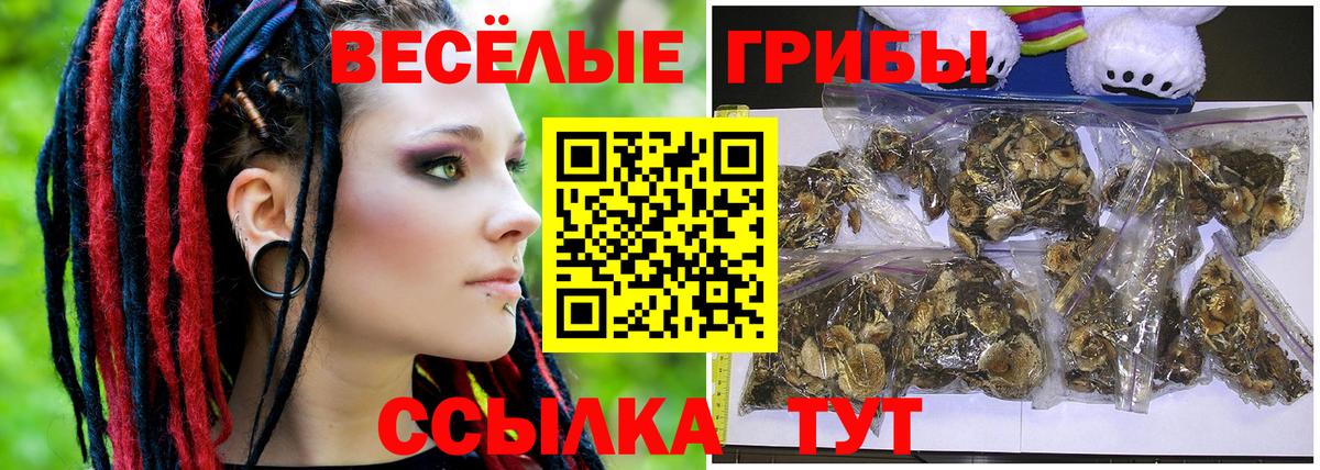 Псилоцибиновые грибы мухоморы Бахчисарай