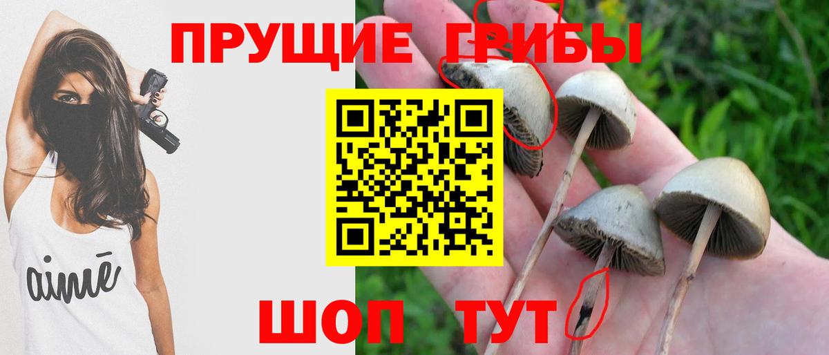 Галлюциногенные грибы MAGIC MUSHROOMS Бахчисарай