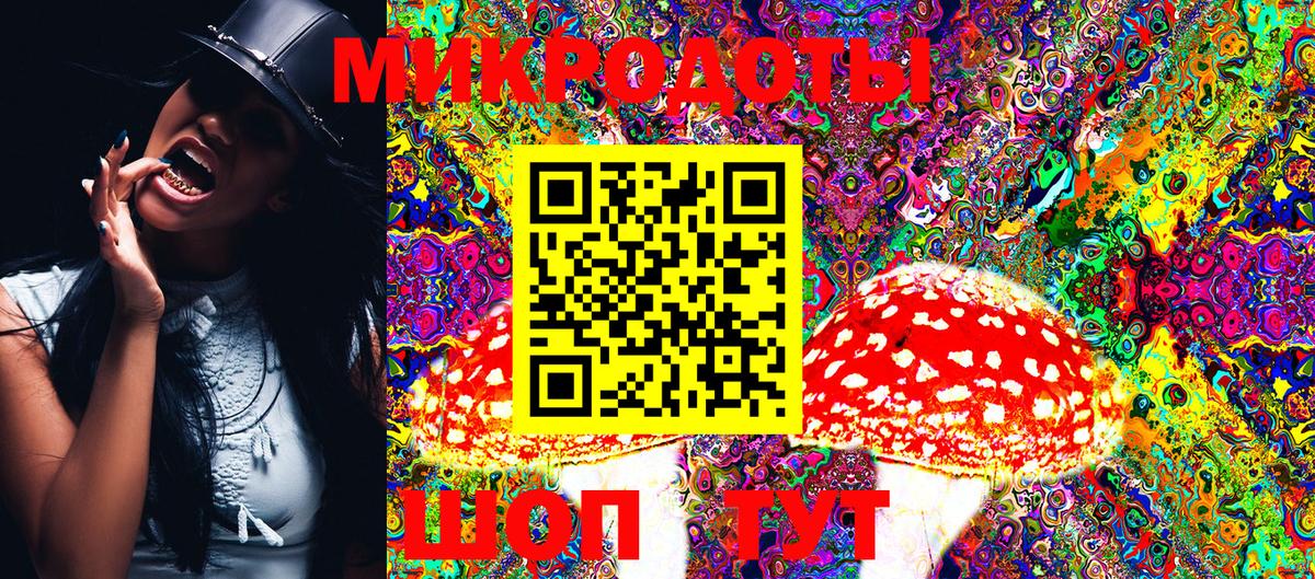 Псилоцибиновые грибы GOLDEN TEACHER  Бахчисарай  Галлюциногенные грибы MAGIC MUSHROOMS 